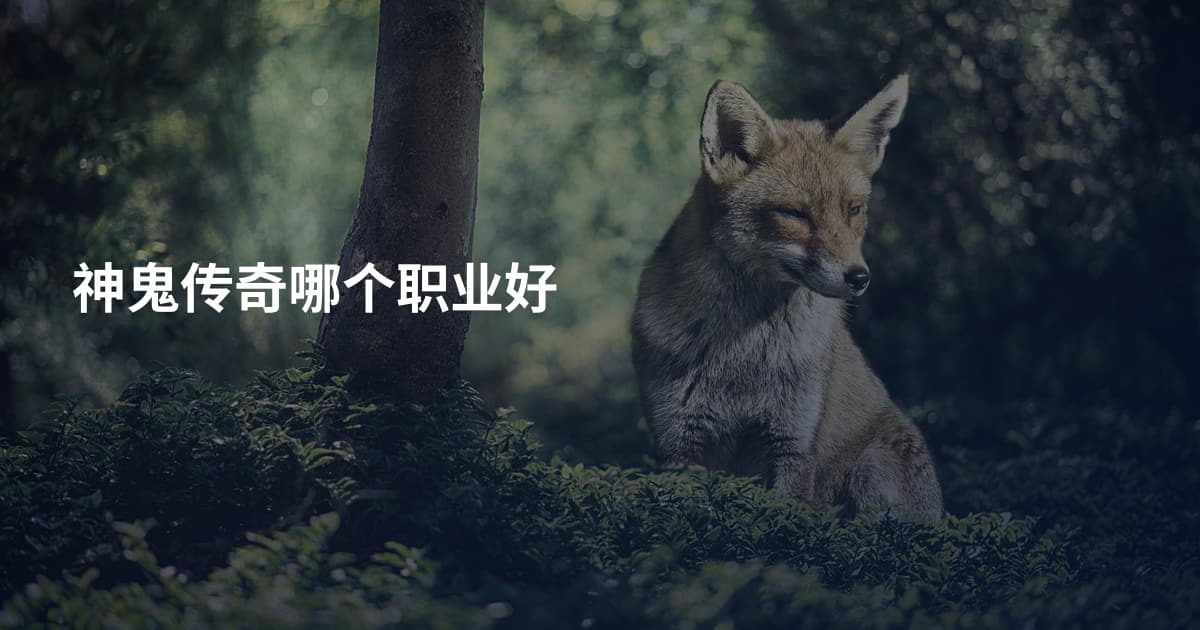 神鬼传奇哪个职业好