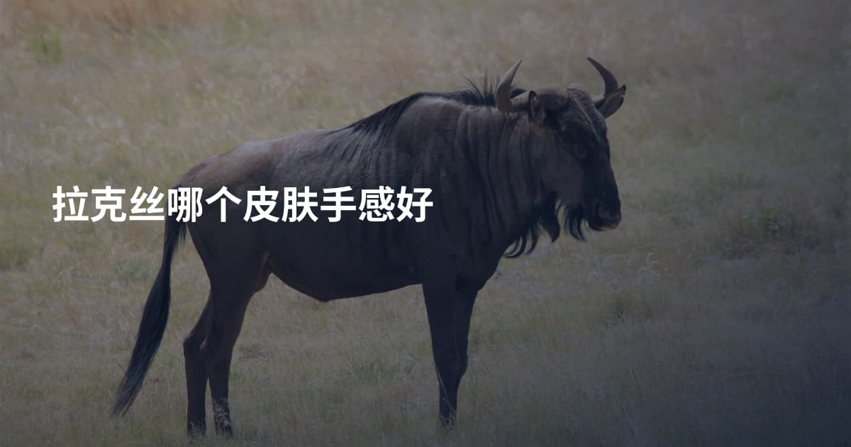 拉克丝哪个皮肤手感好