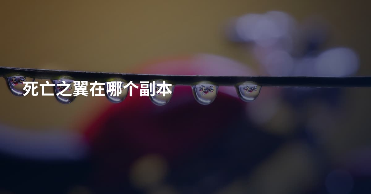 死亡之翼在哪个副本
