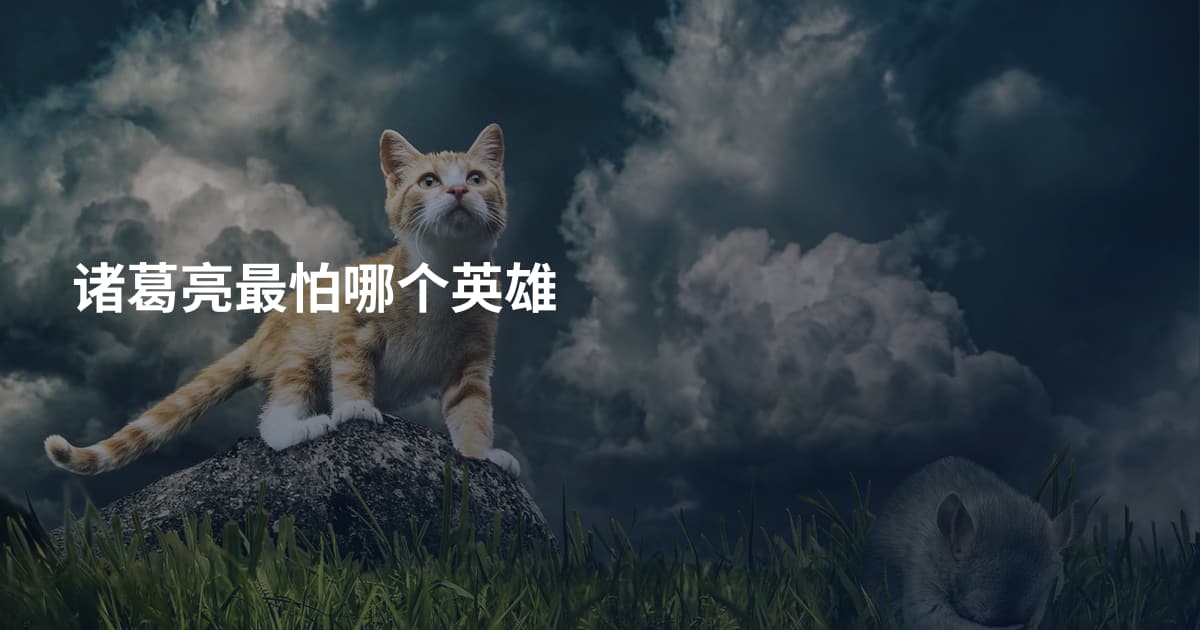 诸葛亮最怕哪个英雄