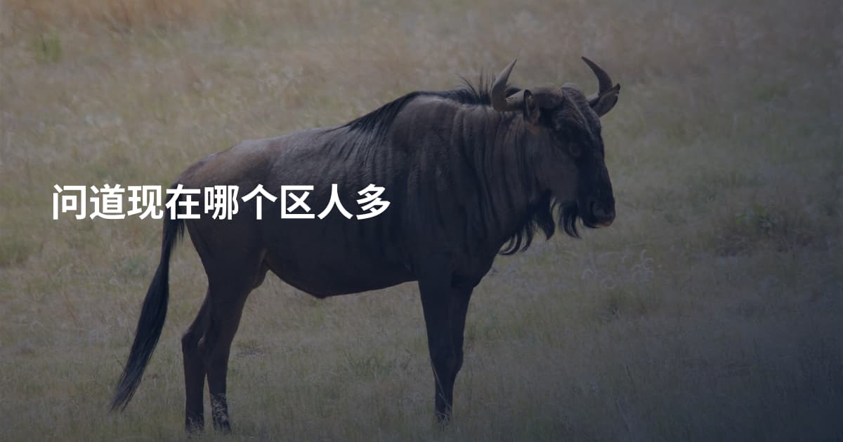 问道现在哪个区人多