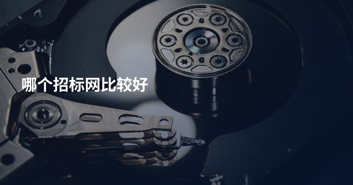 哪个招标网比较好