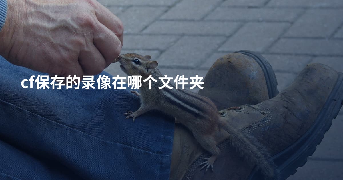cf保存的录像在哪个文件夹