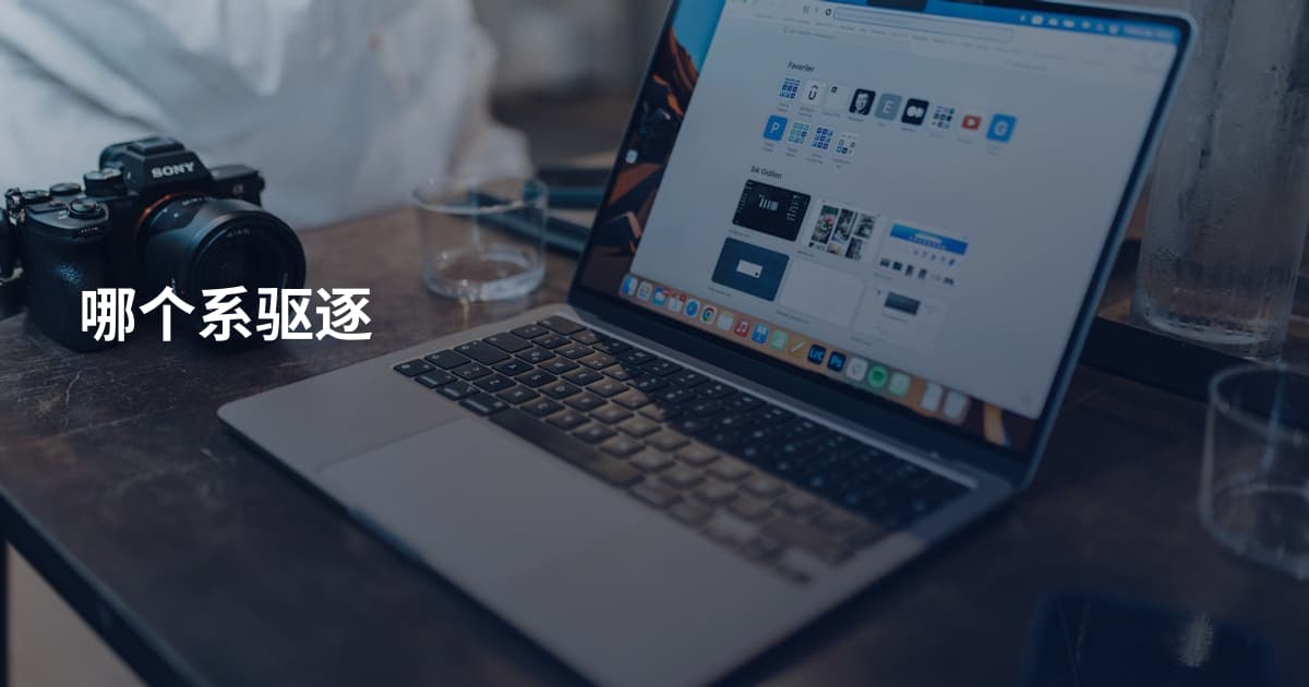 哪个系驱逐