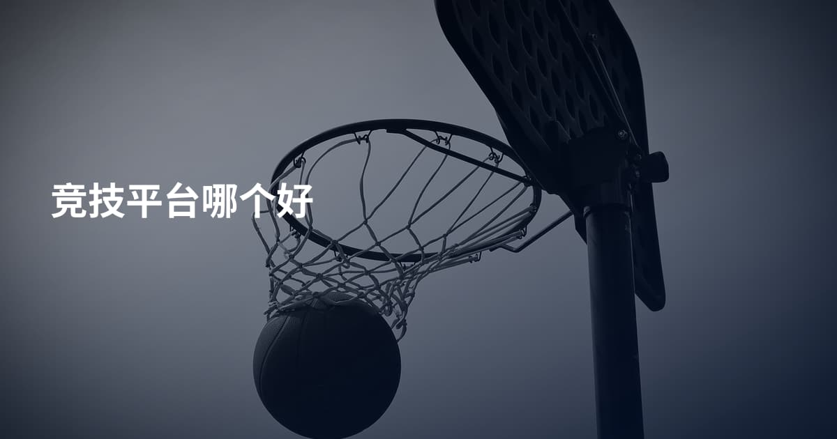 竞技平台哪个好