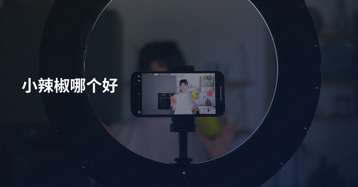 小辣椒哪个好