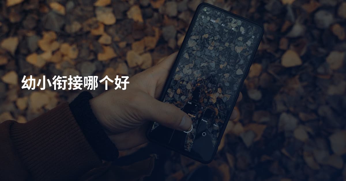 幼小衔接哪个好