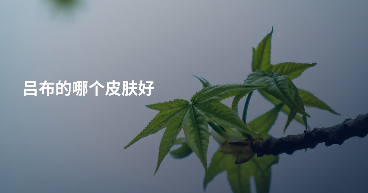吕布的哪个皮肤好