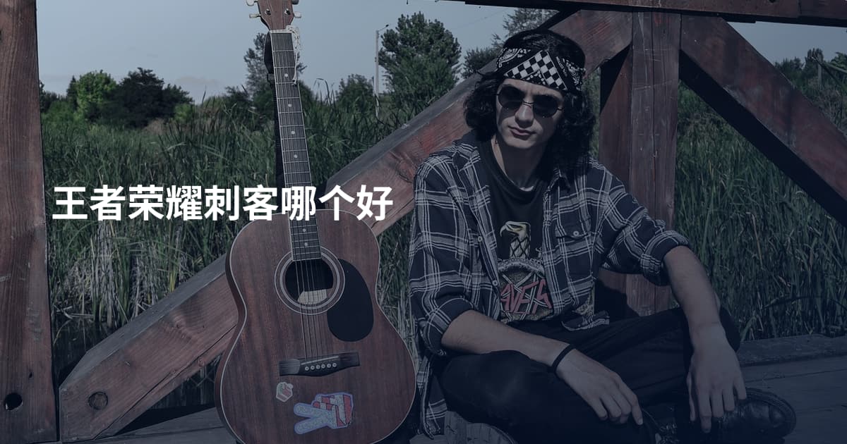 王者荣耀刺客哪个好