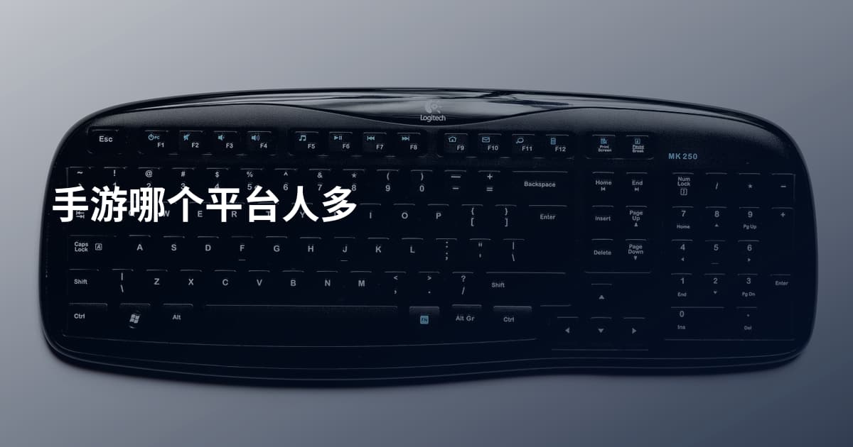 手游哪个平台人多