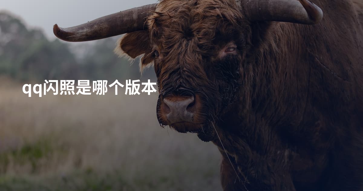qq闪照是哪个版本