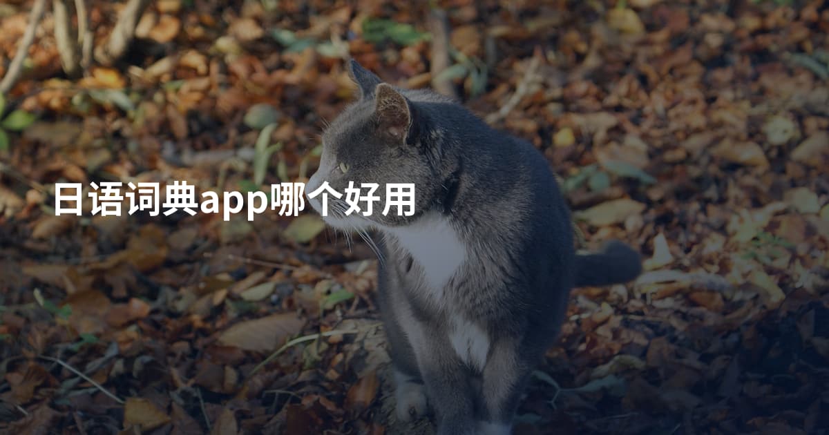 日语词典app哪个好用