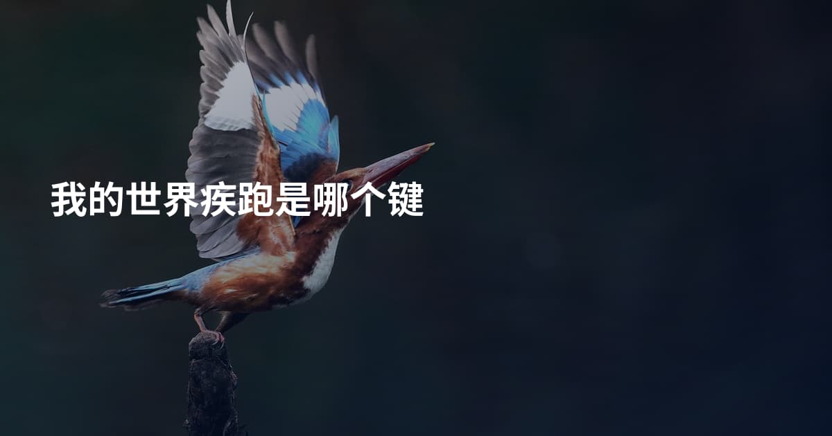 我的世界疾跑是哪个键