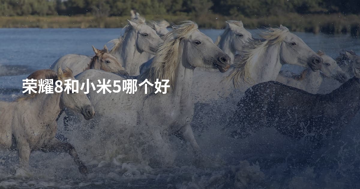 荣耀8和小米5哪个好