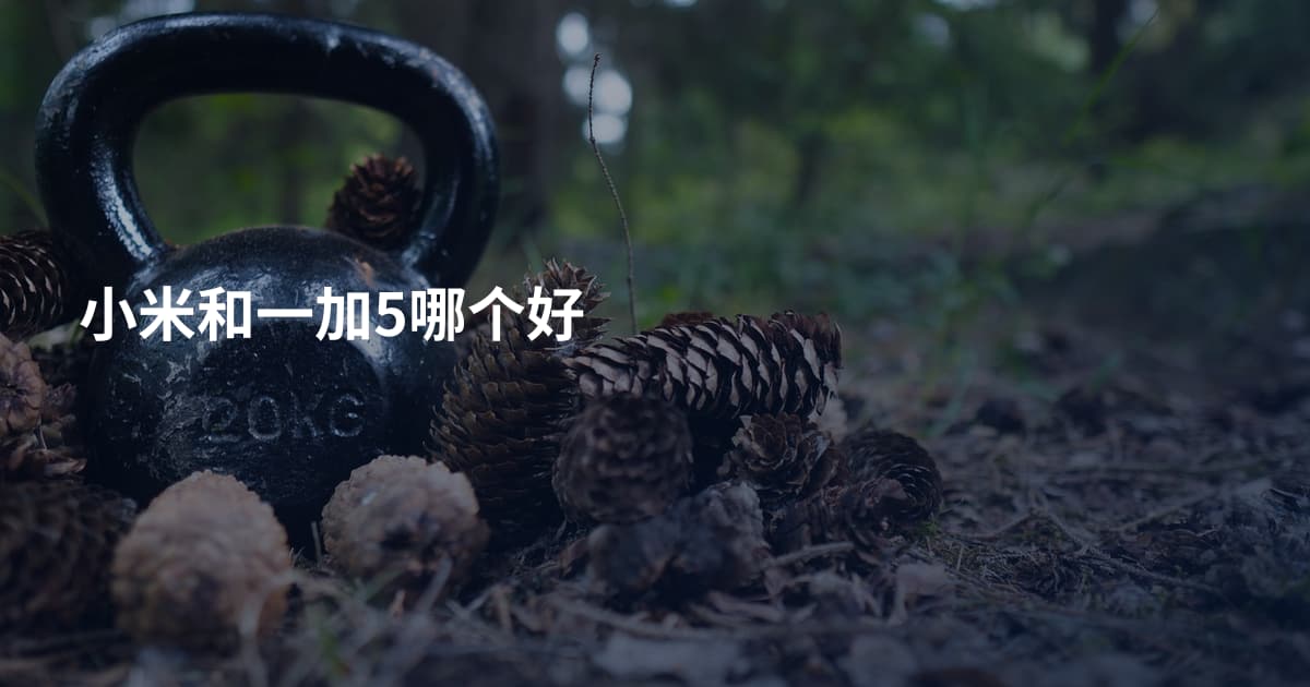 小米和一加5哪个好
