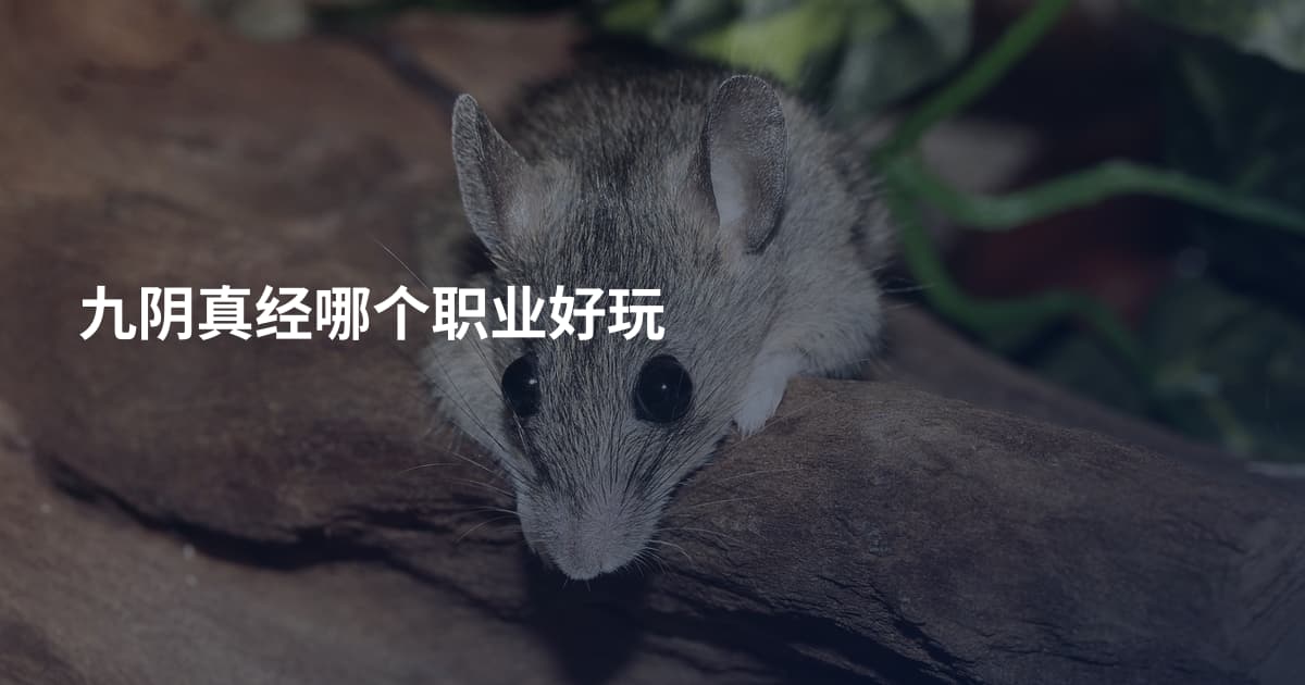 九阴真经哪个职业好玩
