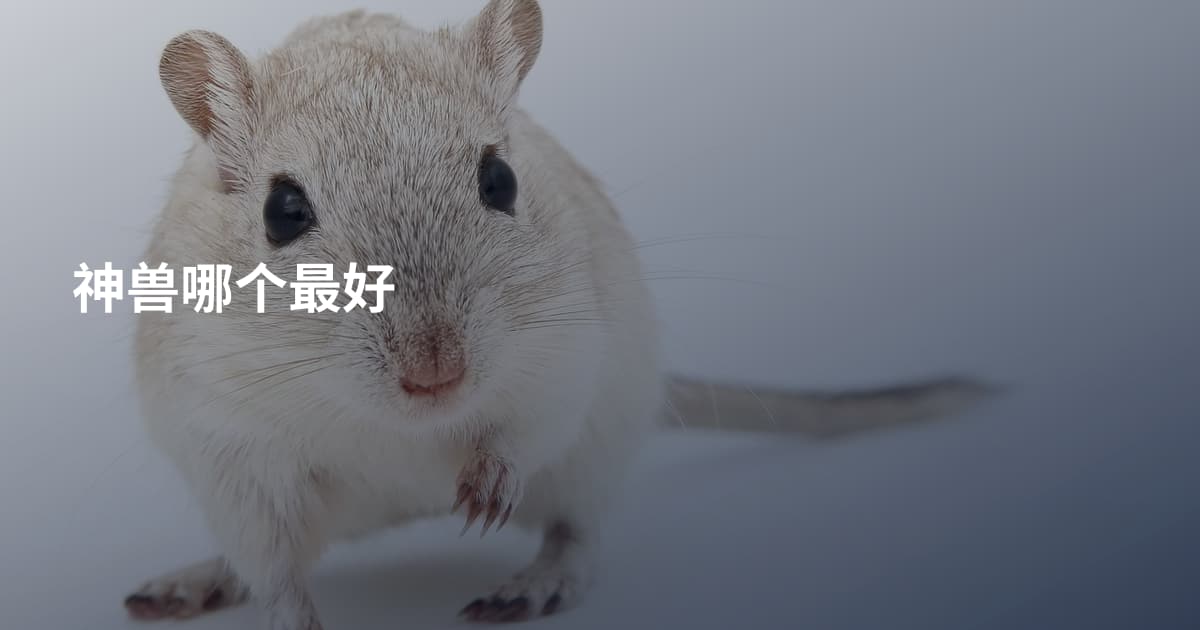 神兽哪个最好