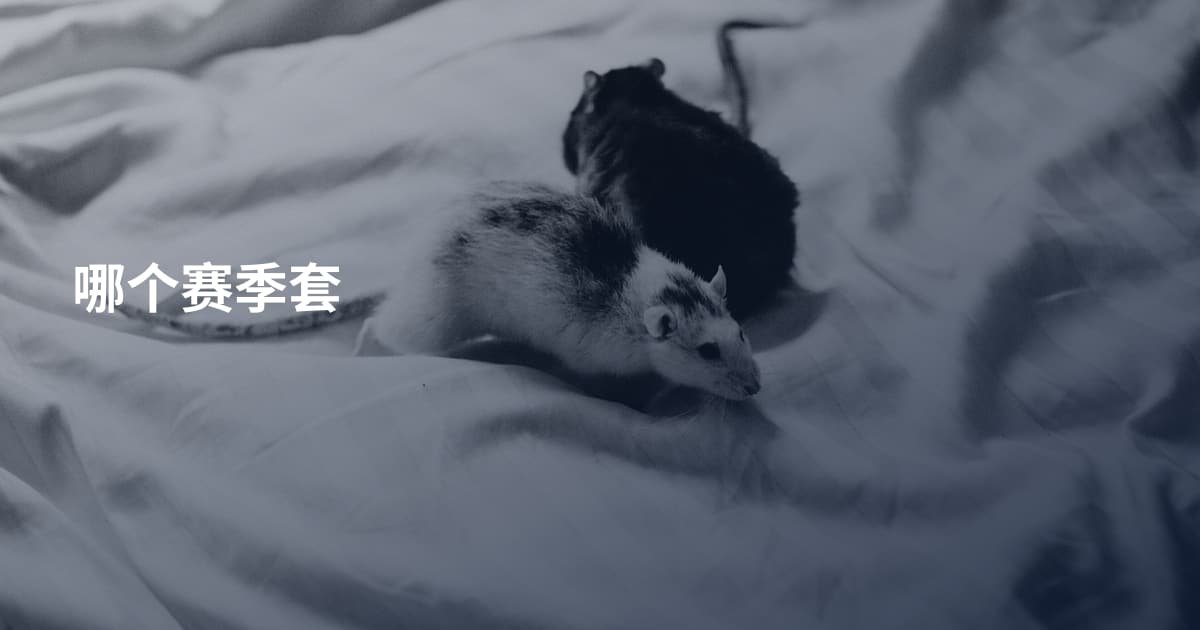 哪个赛季套