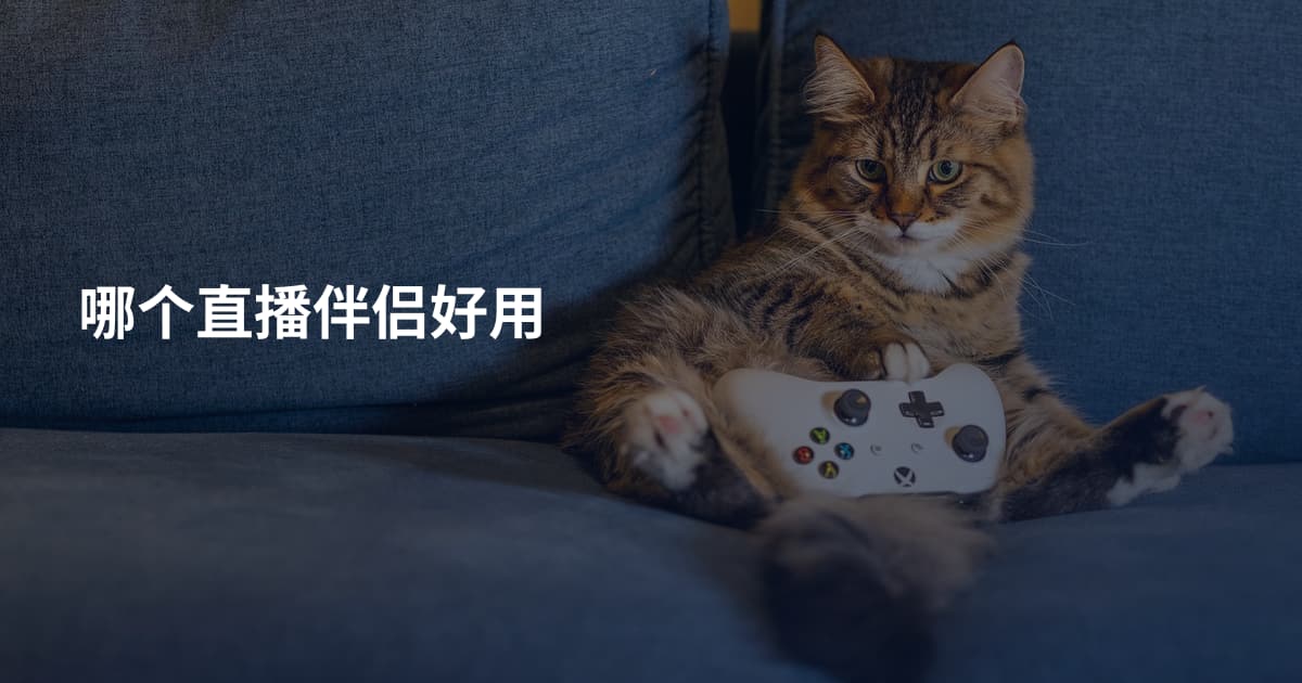 哪个直播伴侣好用