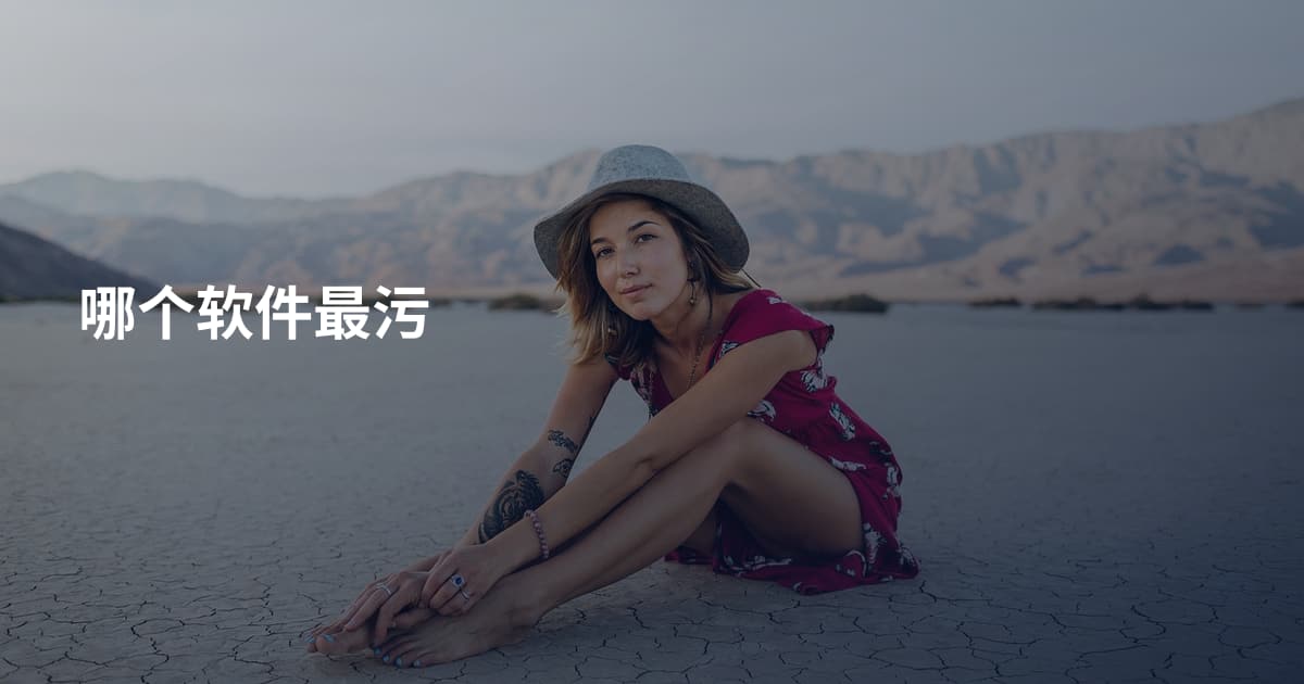 哪个软件最污