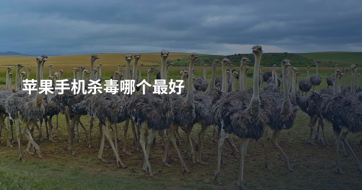 苹果手机杀毒哪个最好