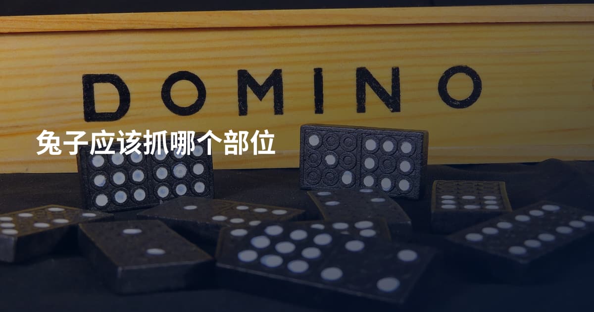 兔子应该抓哪个部位