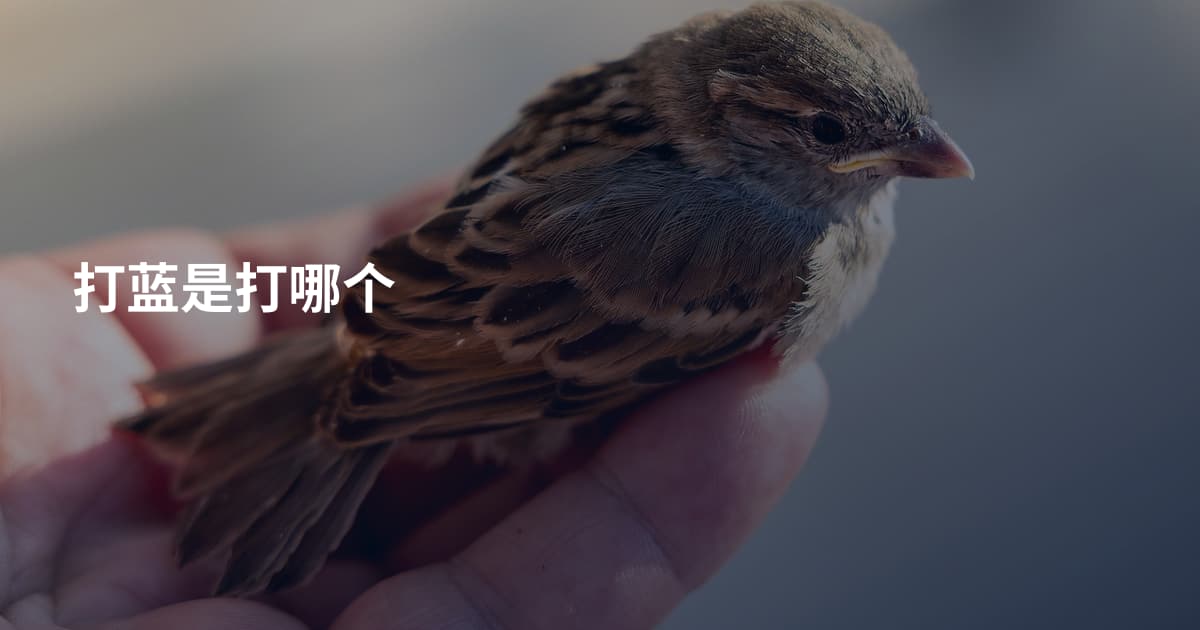 打蓝是打哪个