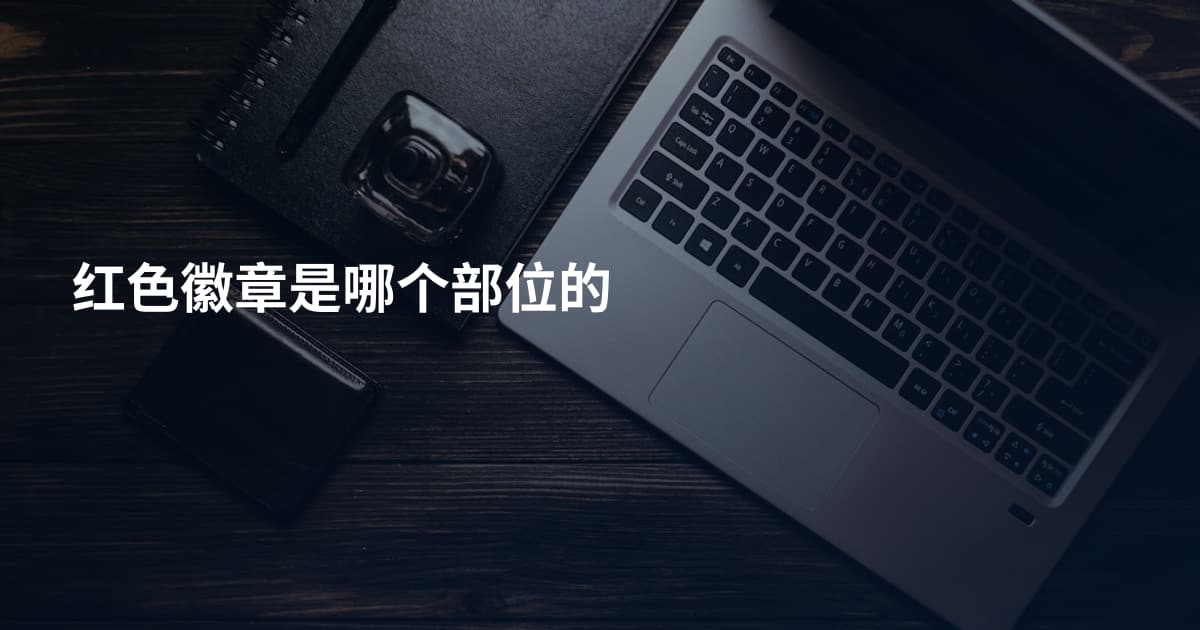 红色徽章是哪个部位的