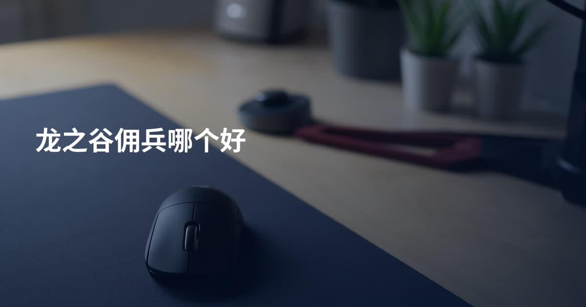 龙之谷佣兵哪个好