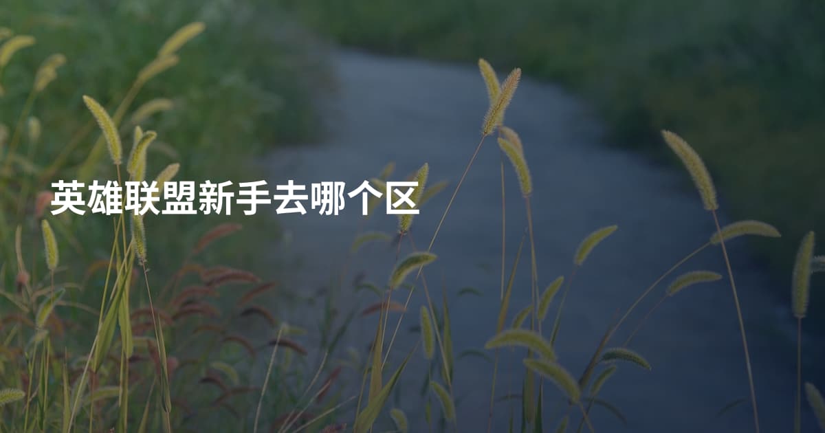 英雄联盟新手去哪个区