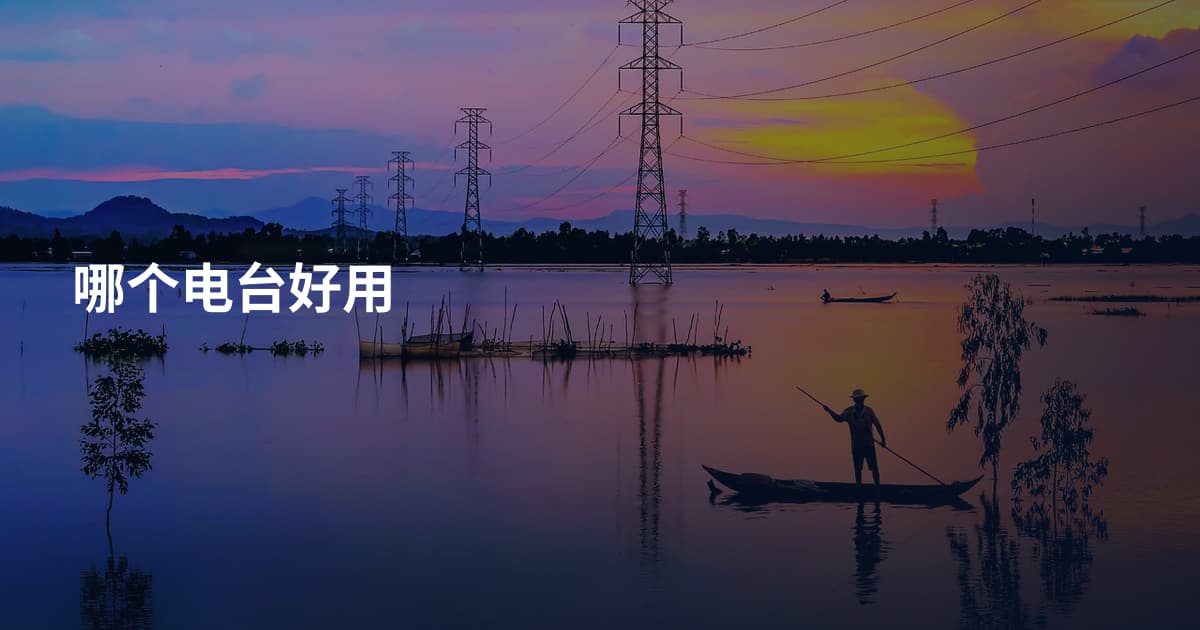 哪个电台好用