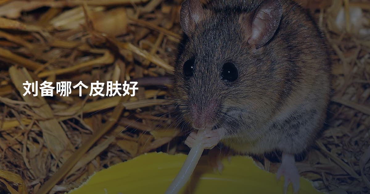 刘备哪个皮肤好