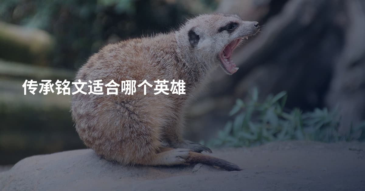 传承铭文适合哪个英雄