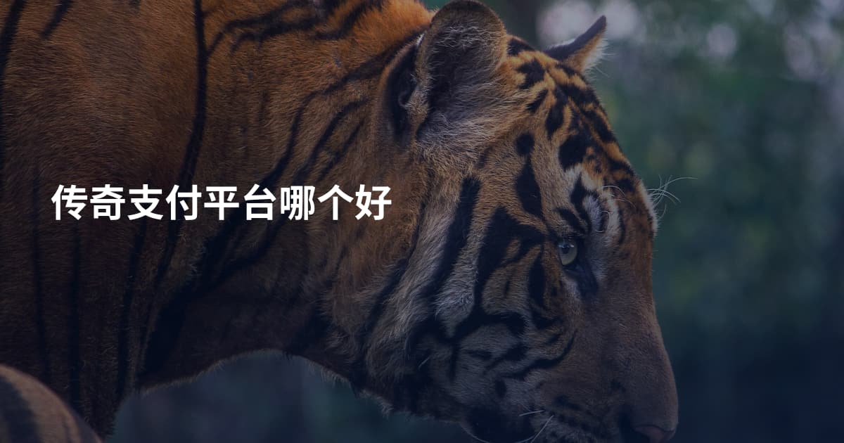 传奇支付平台哪个好