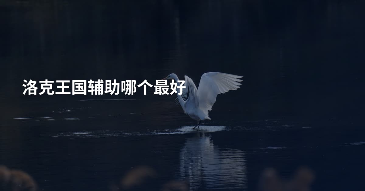 洛克王国辅助哪个最好
