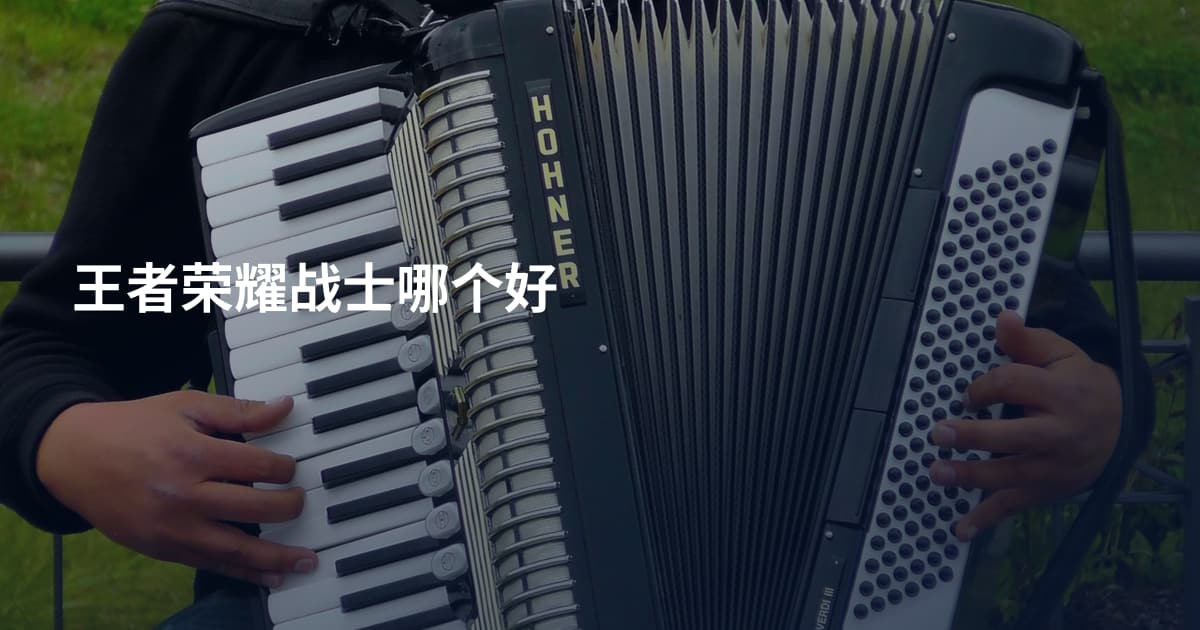 王者荣耀战士哪个好