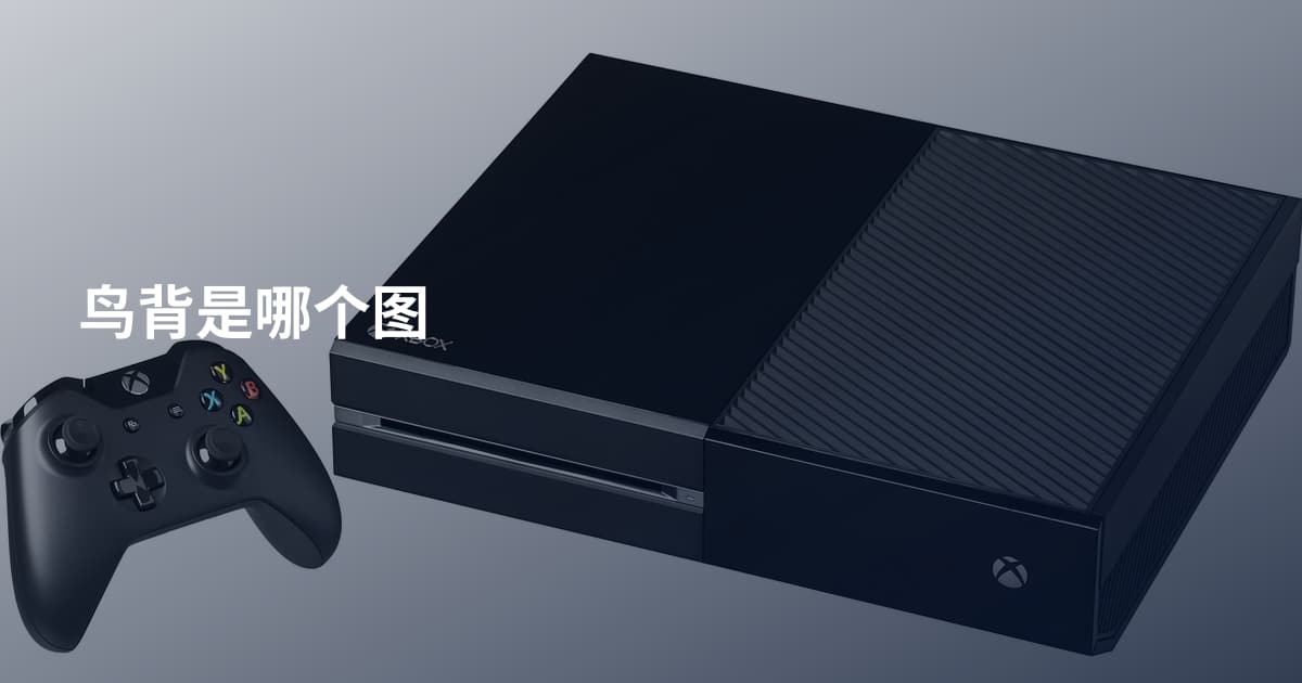 鸟背是哪个图