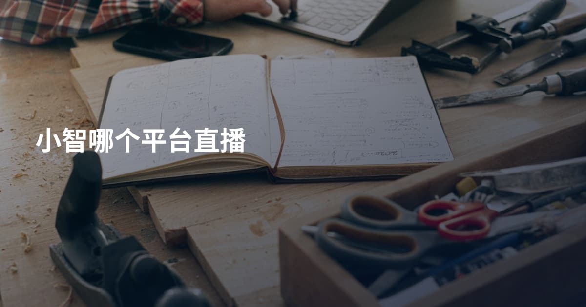 小智哪个平台直播