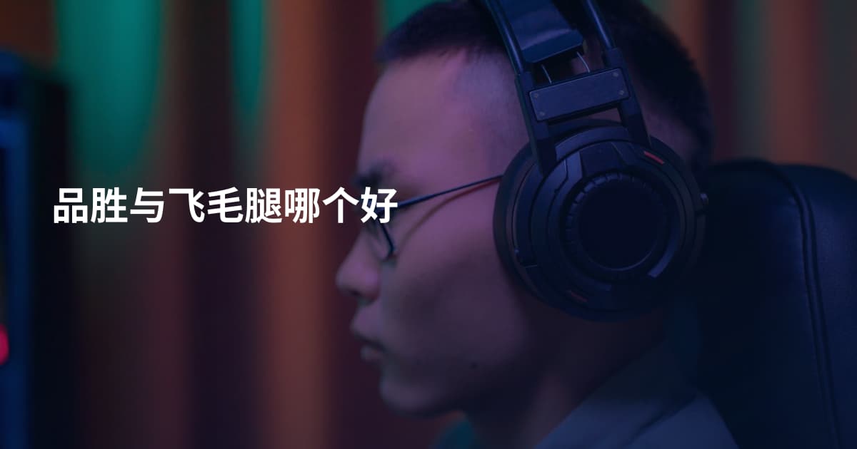 品胜与飞毛腿哪个好