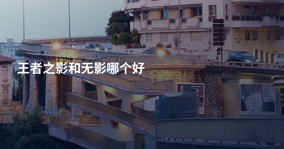 王者之影和无影哪个好