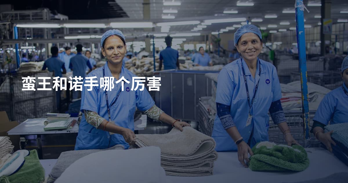 蛮王和诺手哪个厉害