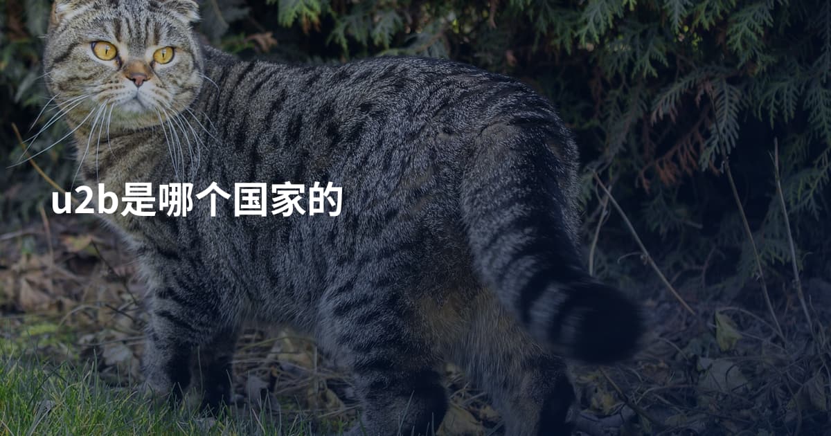 u2b是哪个国家的