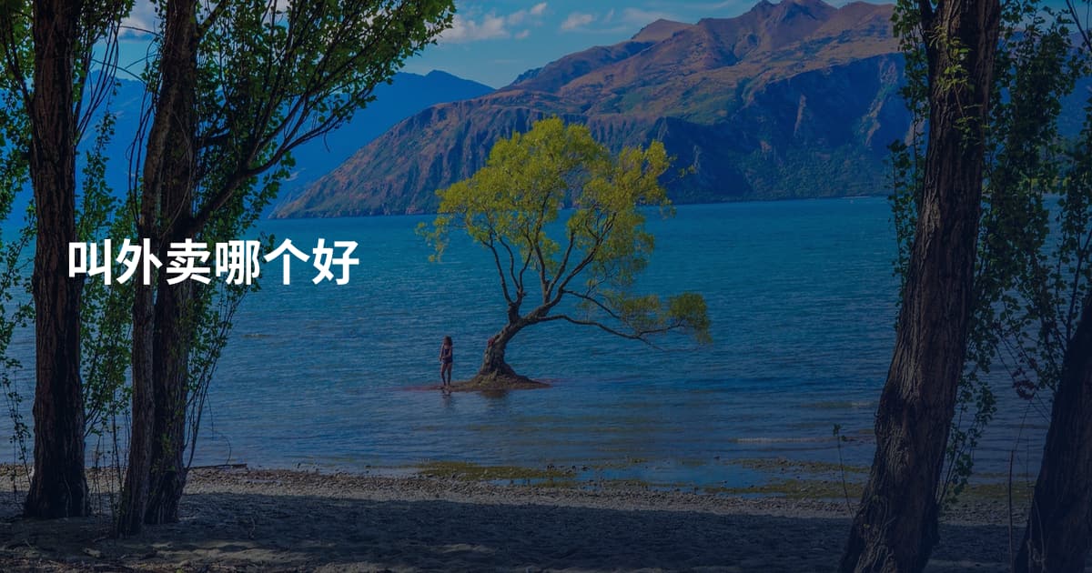 叫外卖哪个好
