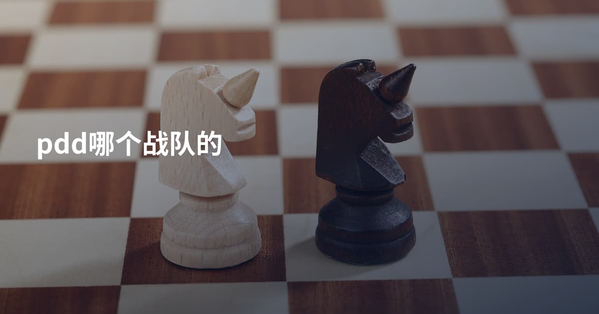 pdd哪个战队的