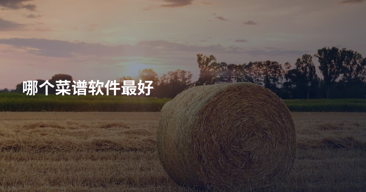 哪个菜谱软件最好
