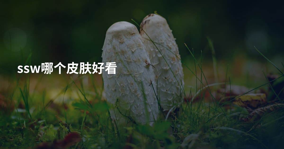 ssw哪个皮肤好看