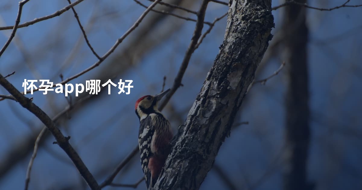 怀孕app哪个好