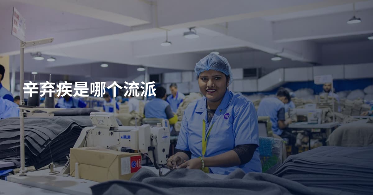 辛弃疾是哪个流派
