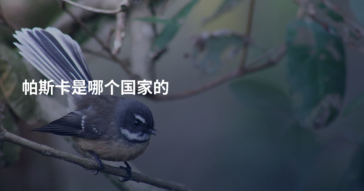 帕斯卡是哪个国家的
