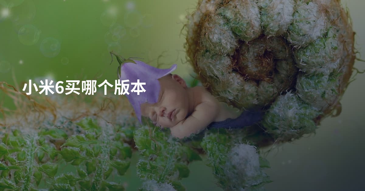 小米6买哪个版本